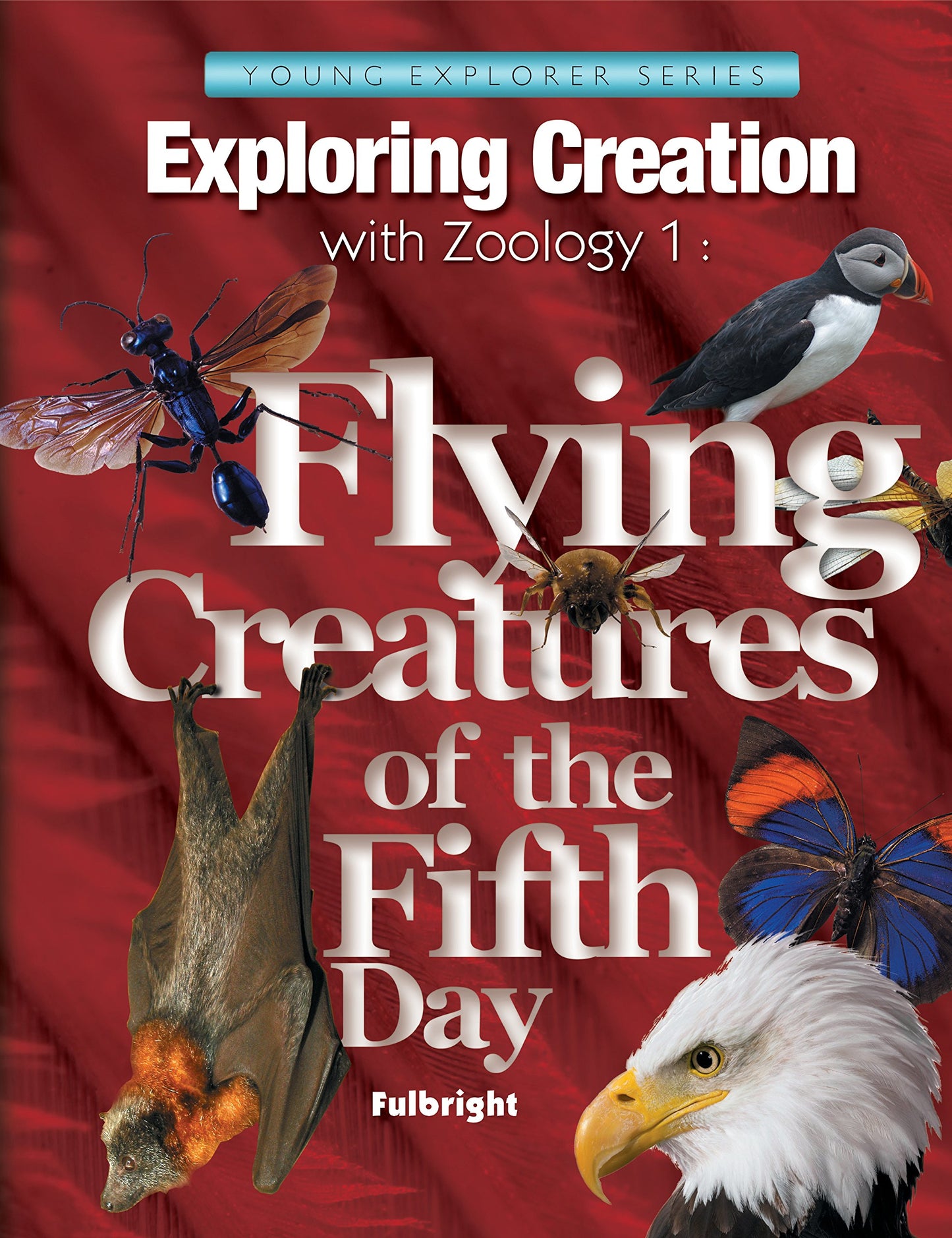 Exploring Creation with Zoology 1: Flying Creatures of the F