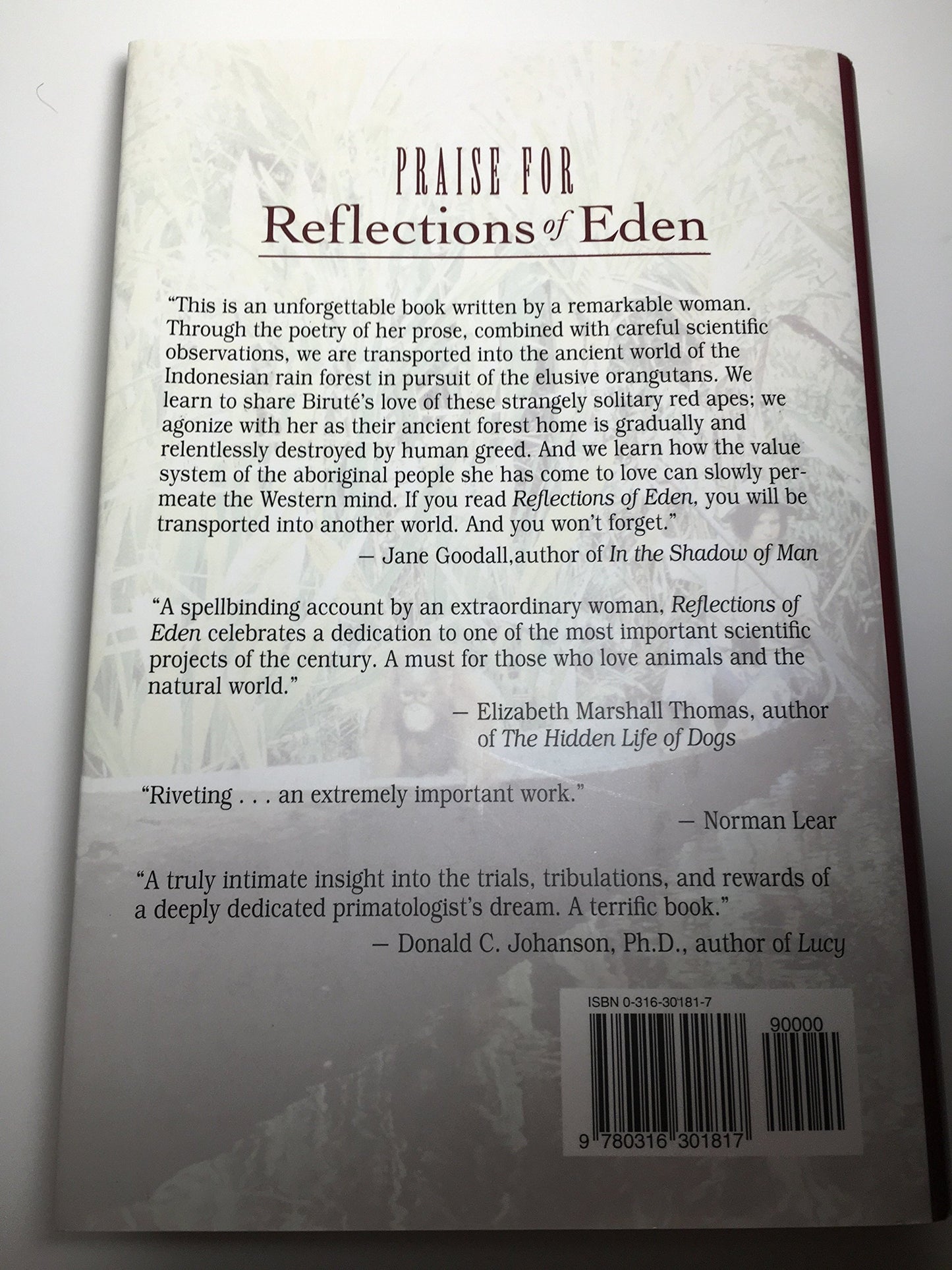 Reflections of Eden: My Years With the Orangutans of Borneo