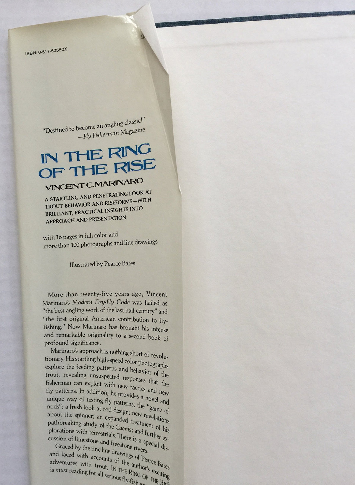 In the ring of the rise