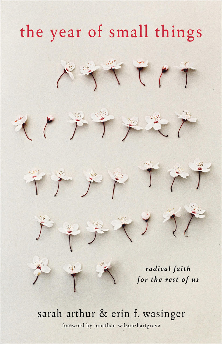 The Year of Small Things: Radical Faith for the Rest of Us