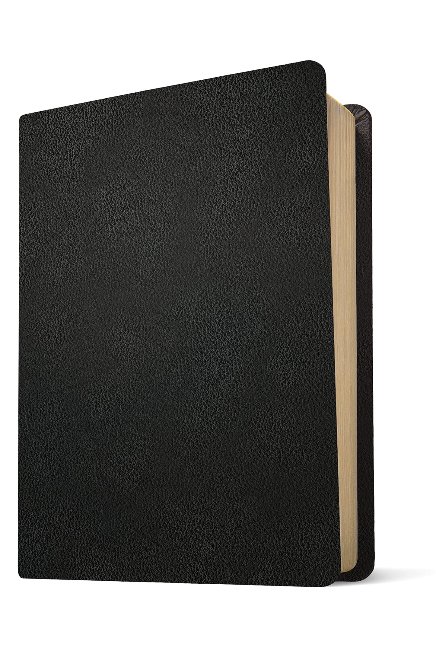NLT Wide Margin Bible, Filament Enabled (Genuine Leather, Black, Red Letter)