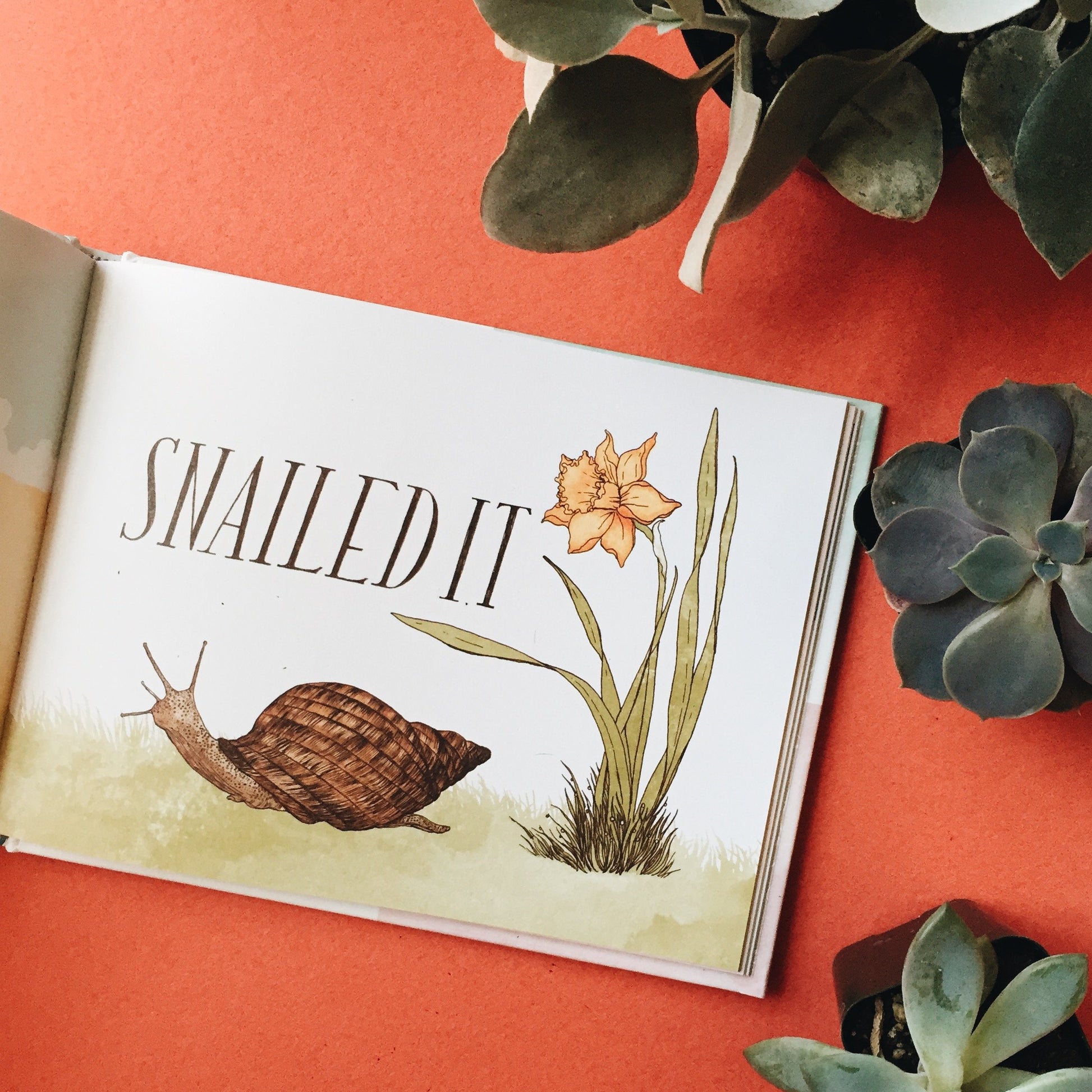 Have a Little Pun: An Illustrated Play on Words (Book of Puns, Pun Gifts, Punny Gifts)