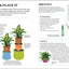 How Not to Kill Your Houseplant New Ed: Survival Tips