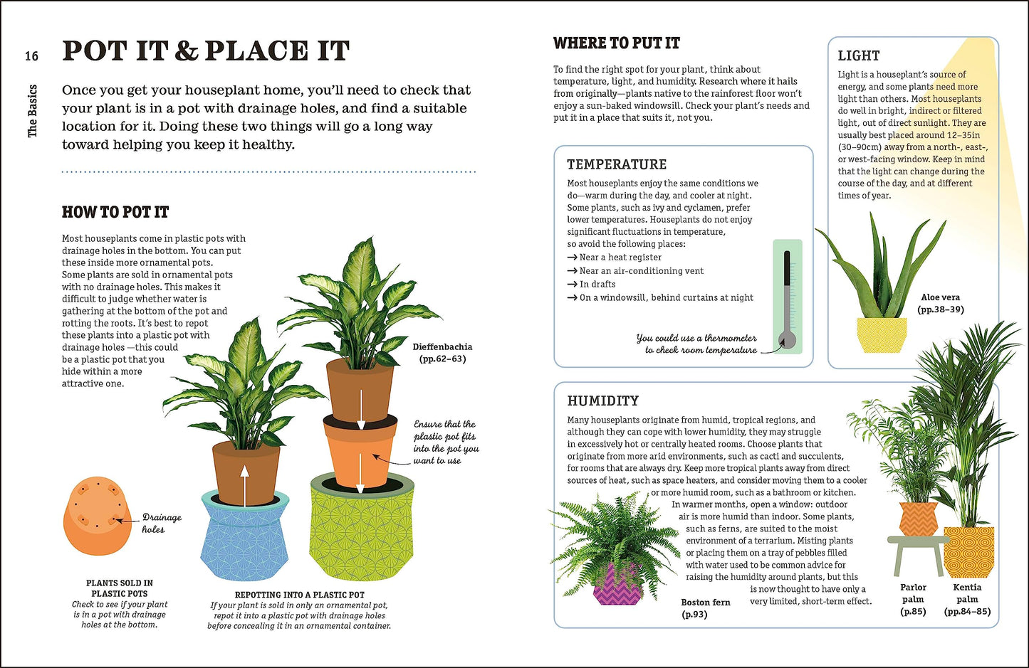 How Not to Kill Your Houseplant New Ed: Survival Tips