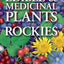 Edible and Medicinal Plants of the Rockies