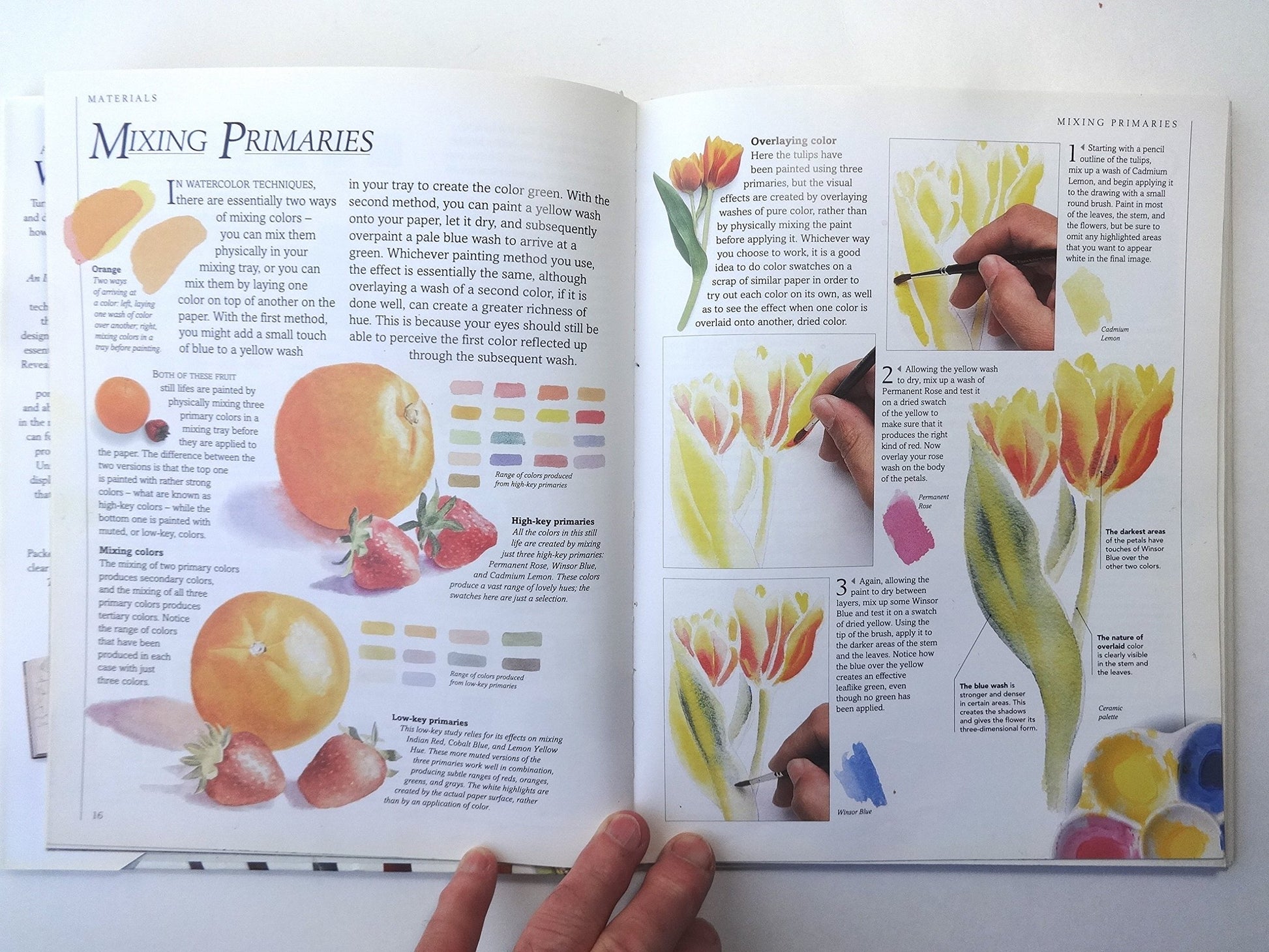 An Introduction to Watercolor (Dorling Kindersley Art School)
