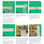 Scrappy Firework Quilts: A Burst of Strips, Scraps & Triangles; 19 Gorgeous Quilting Projects; Five Step-by-Step Techniques (Landauer) Easy Instructions for 8-Pointed Stars, Appliqué, Binding, & More