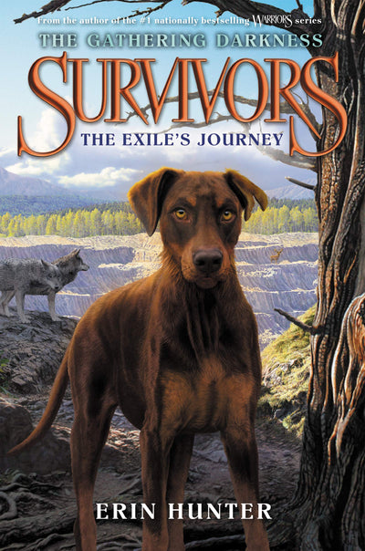 Survivors: The Gathering Darkness #5: The Exile's Journey by