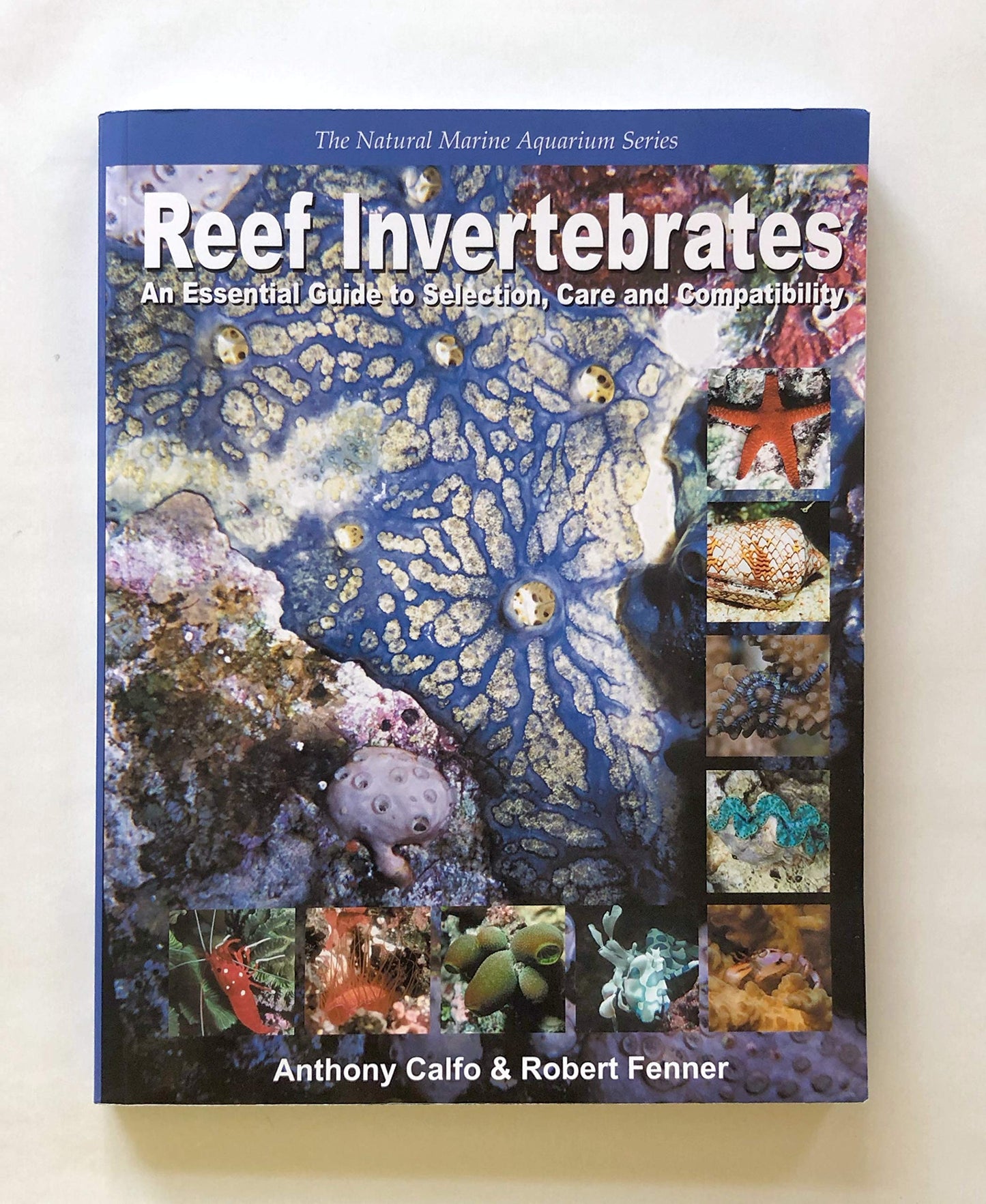 Reef Invertebrates: An Essential Guide to Selection, Care an