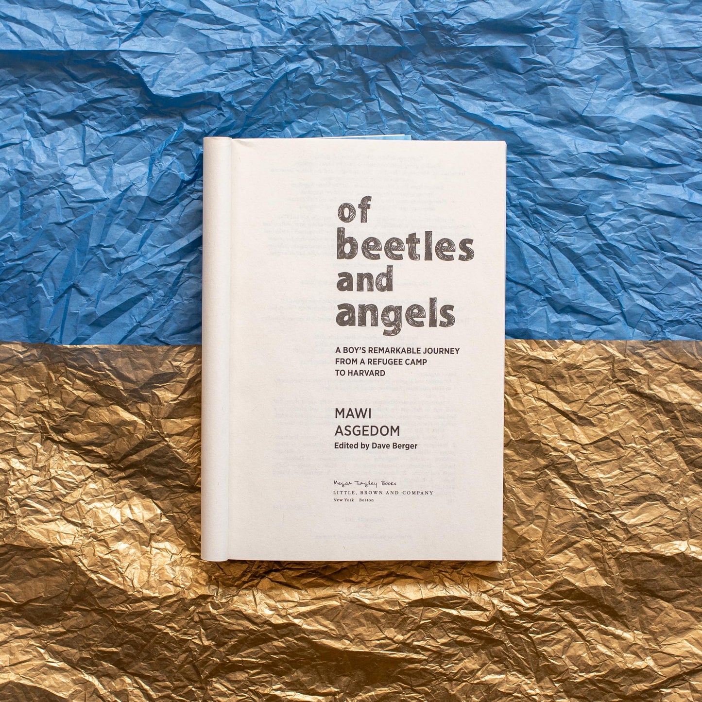 Of Beetles and Angels: A Boy's Remarkable Journey from a Refugee Camp to Harvard