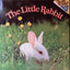 The Little Rabbit