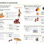 Visual Guide to Grammar and Punctuation by DK
