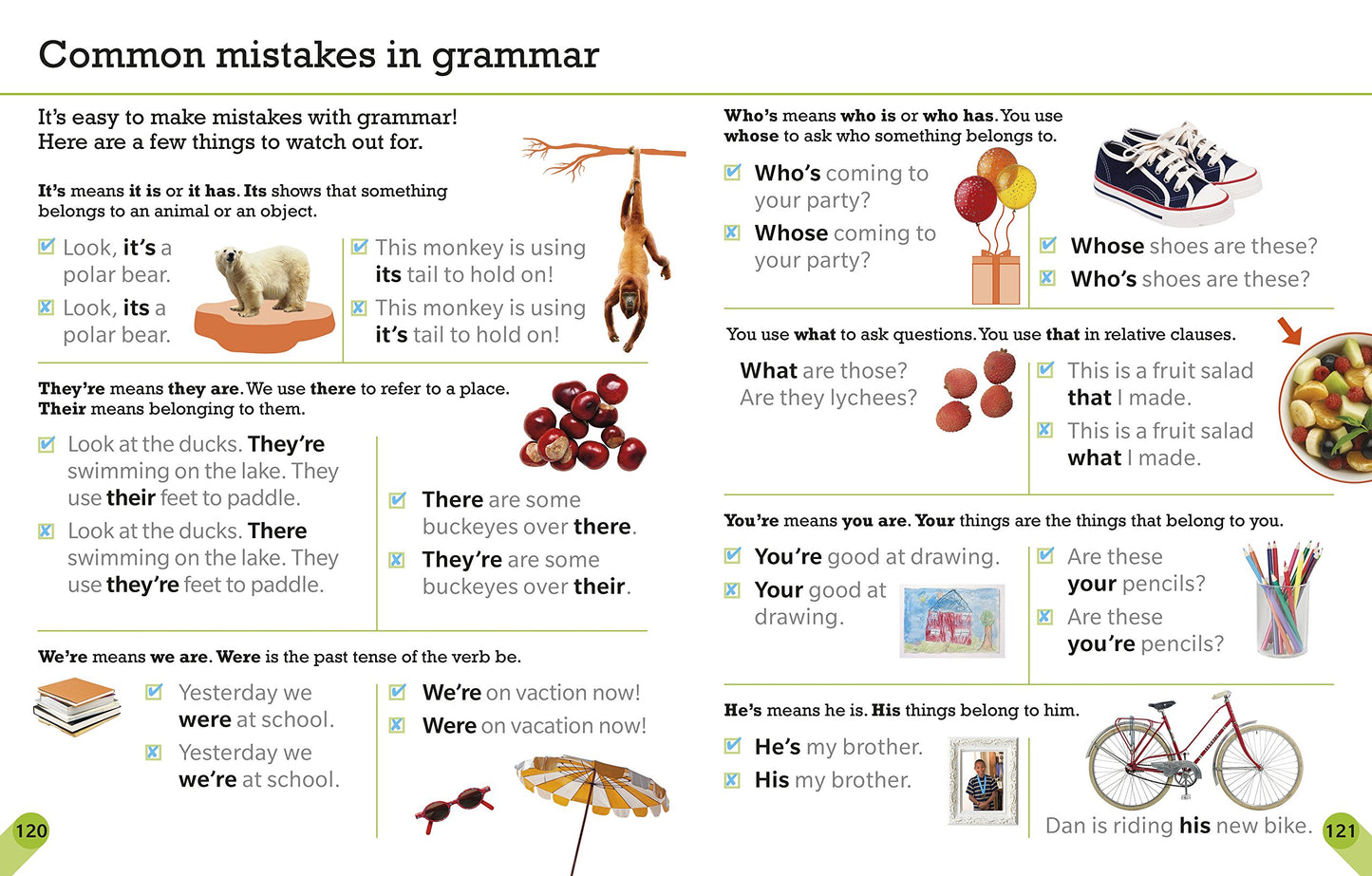 Visual Guide to Grammar and Punctuation by DK