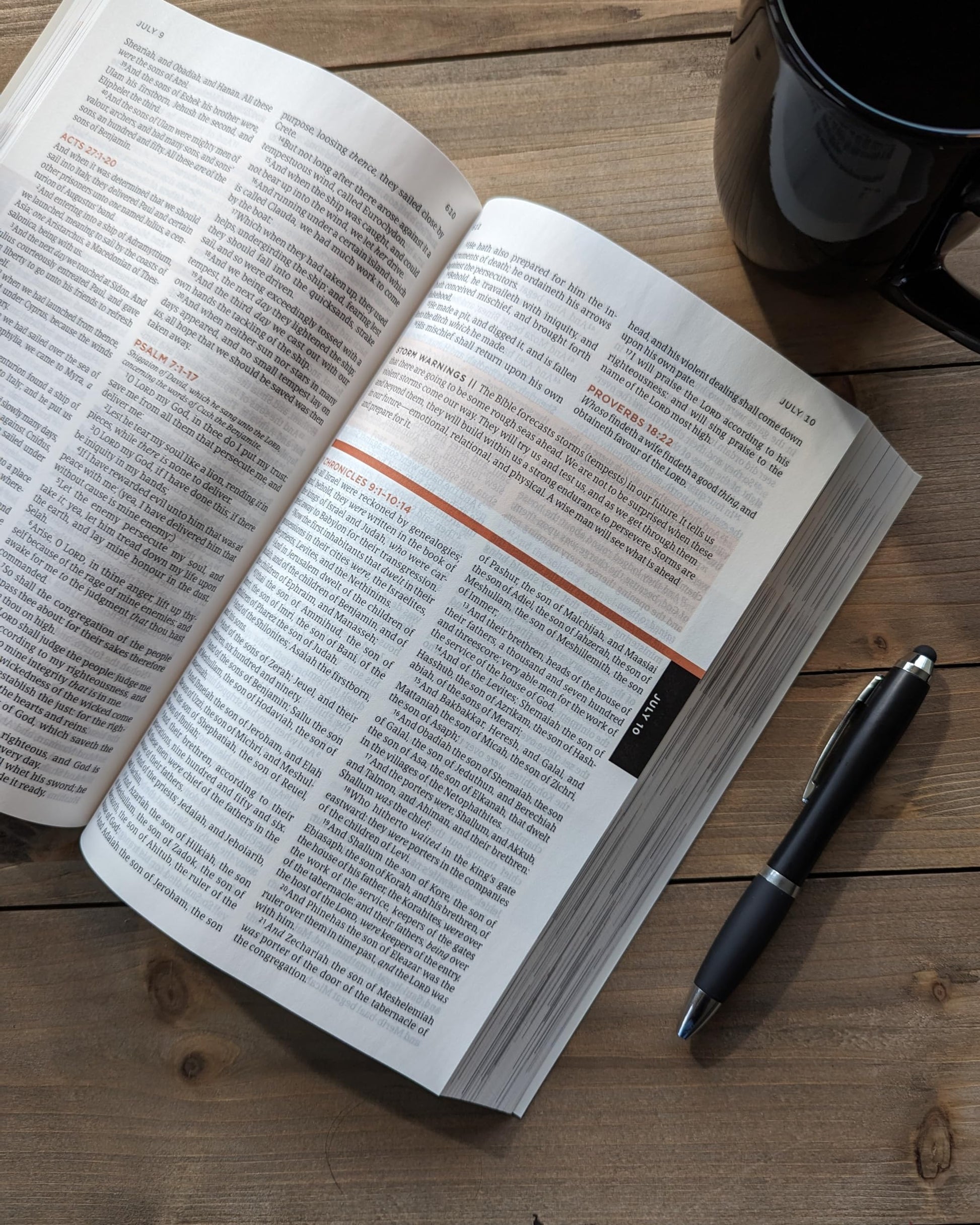 The One Year Bible for Men, KJV (Softcover)