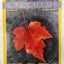 Calculus: Single Variable by Hughes-Hallett, Deborah