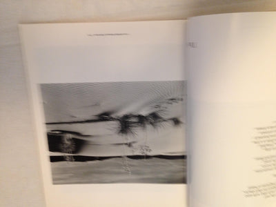 Voyage of the Eye by Brett Weston