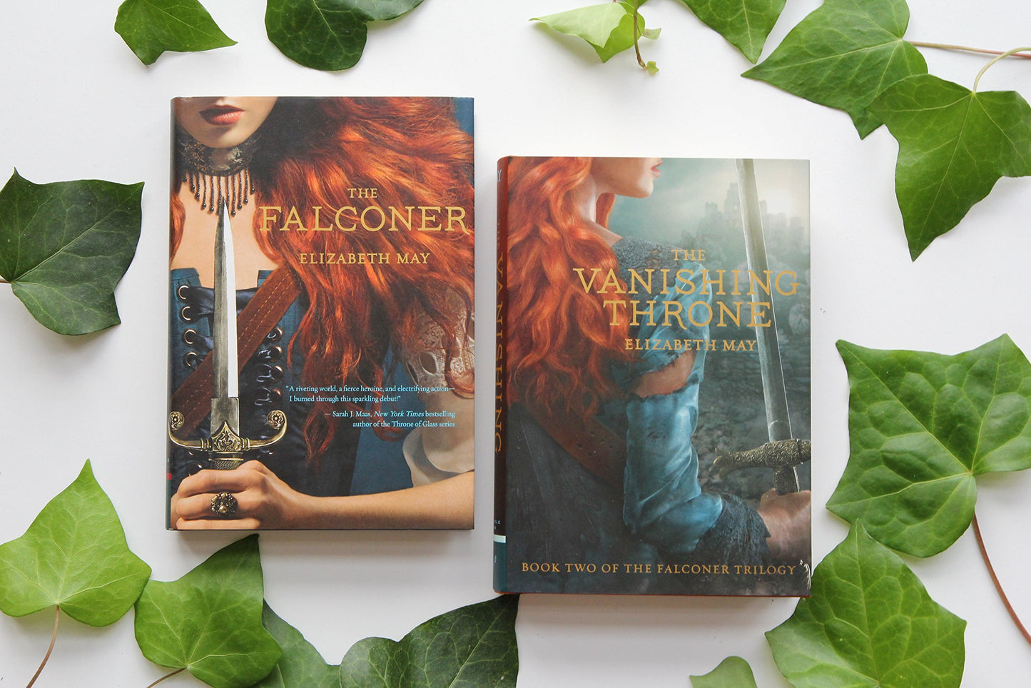 The Falconer: Book One of the Falconer Trilogy (The Falconer, 1)