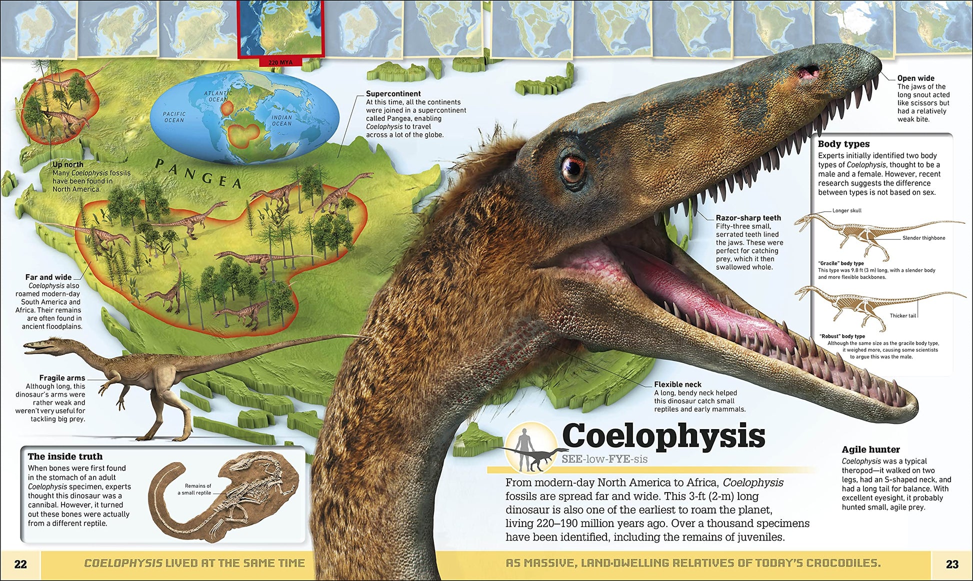 Dinosaur and Other Prehistoric Creatures Atlas: The Prehistoric World as You've Never Seen It Before (DK Where on Earth? Atlases)