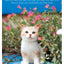 Needle Felted Kittens: How to Create Cute and Lifelike Cats