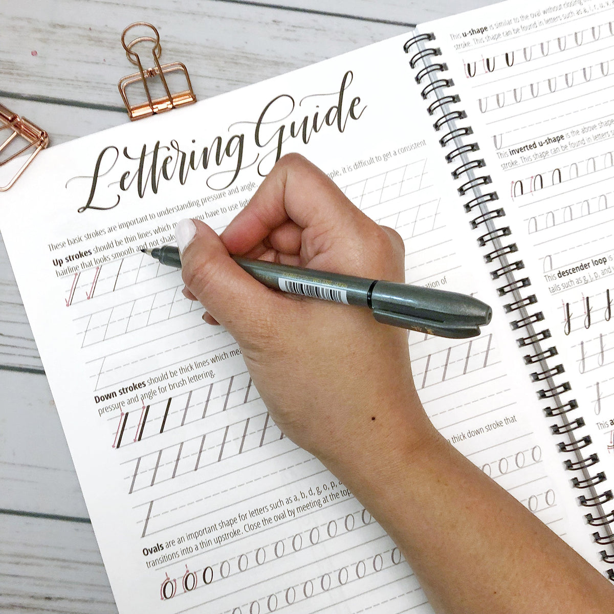 Modern Calligraphy: A Beginner's Guide to Pointed Pen and Brush Pen Lettering