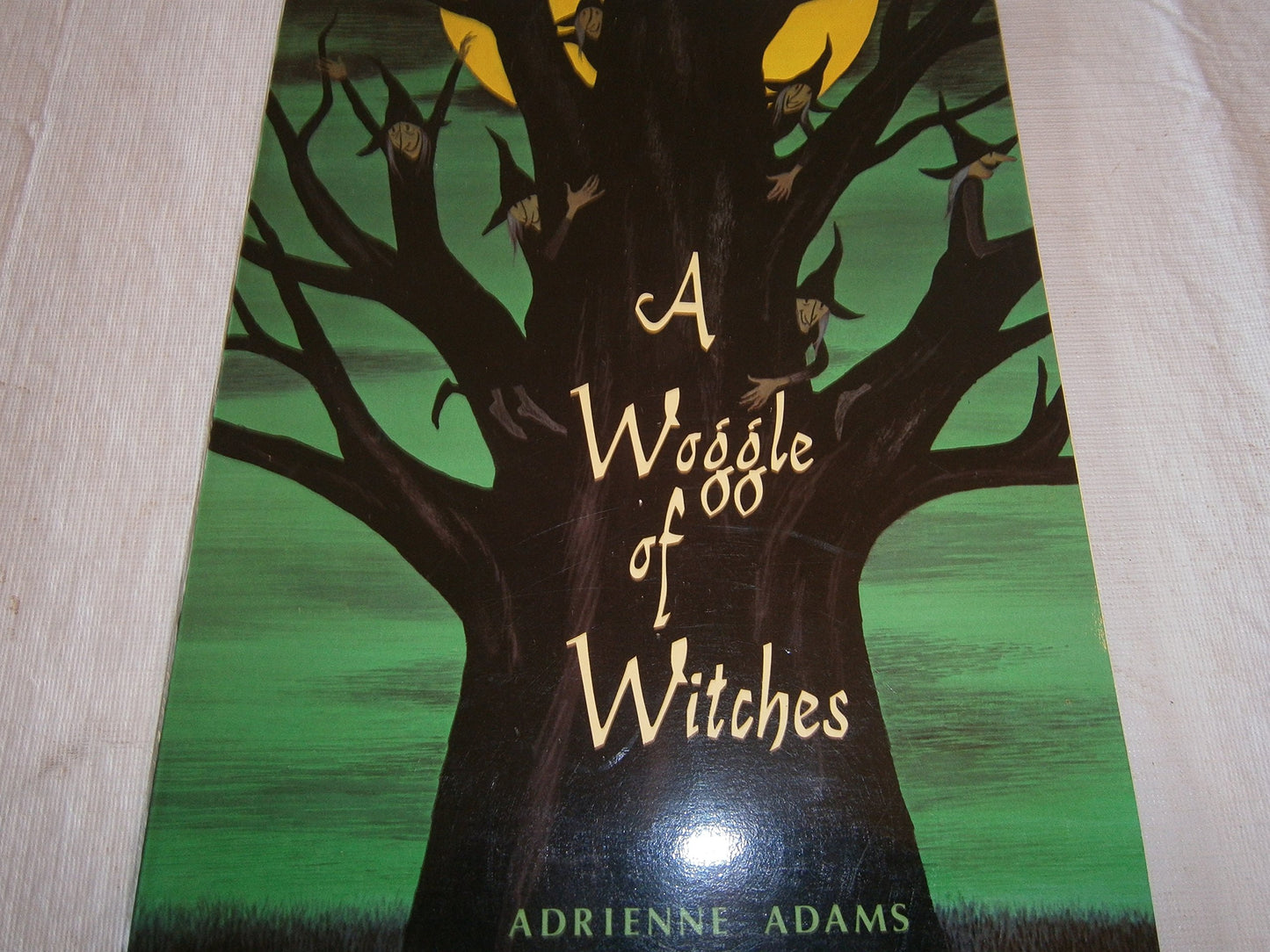 A Woggle of Witches by Adams, Adrienne