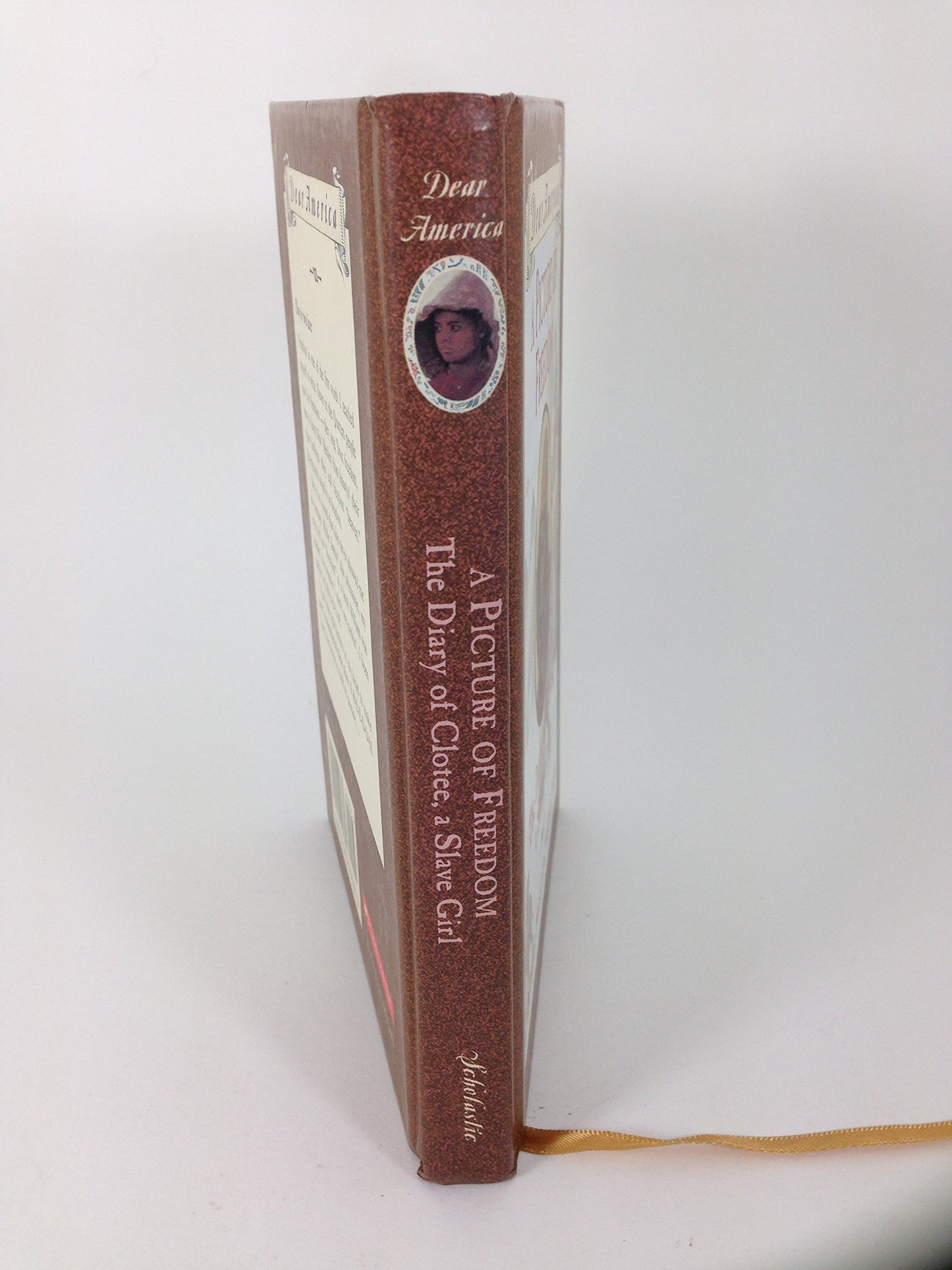 A Picture of Freedom: The Diary of Clotee, a Slave Girl, Belmont Plantation, Virginia 1859 (Dear America Series)