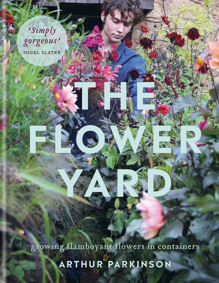 The Flower Yard: Growing Flamboyant Flowers in Containers