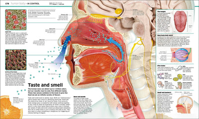Knowledge Encyclopedia: The World as You've Never Seen it Be