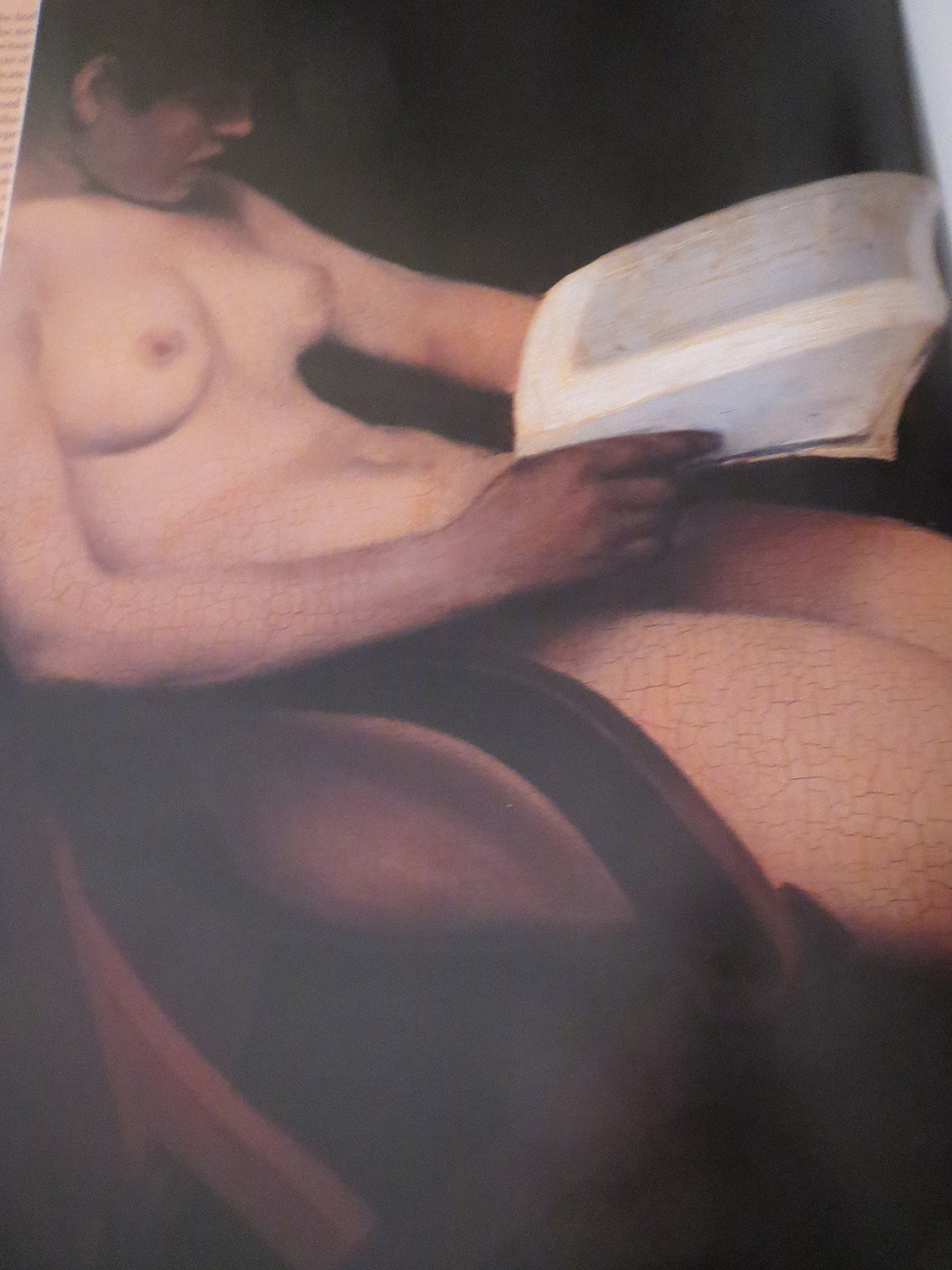 Exposed: The Victorian Nude