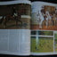 Encyclopedia of the Horse