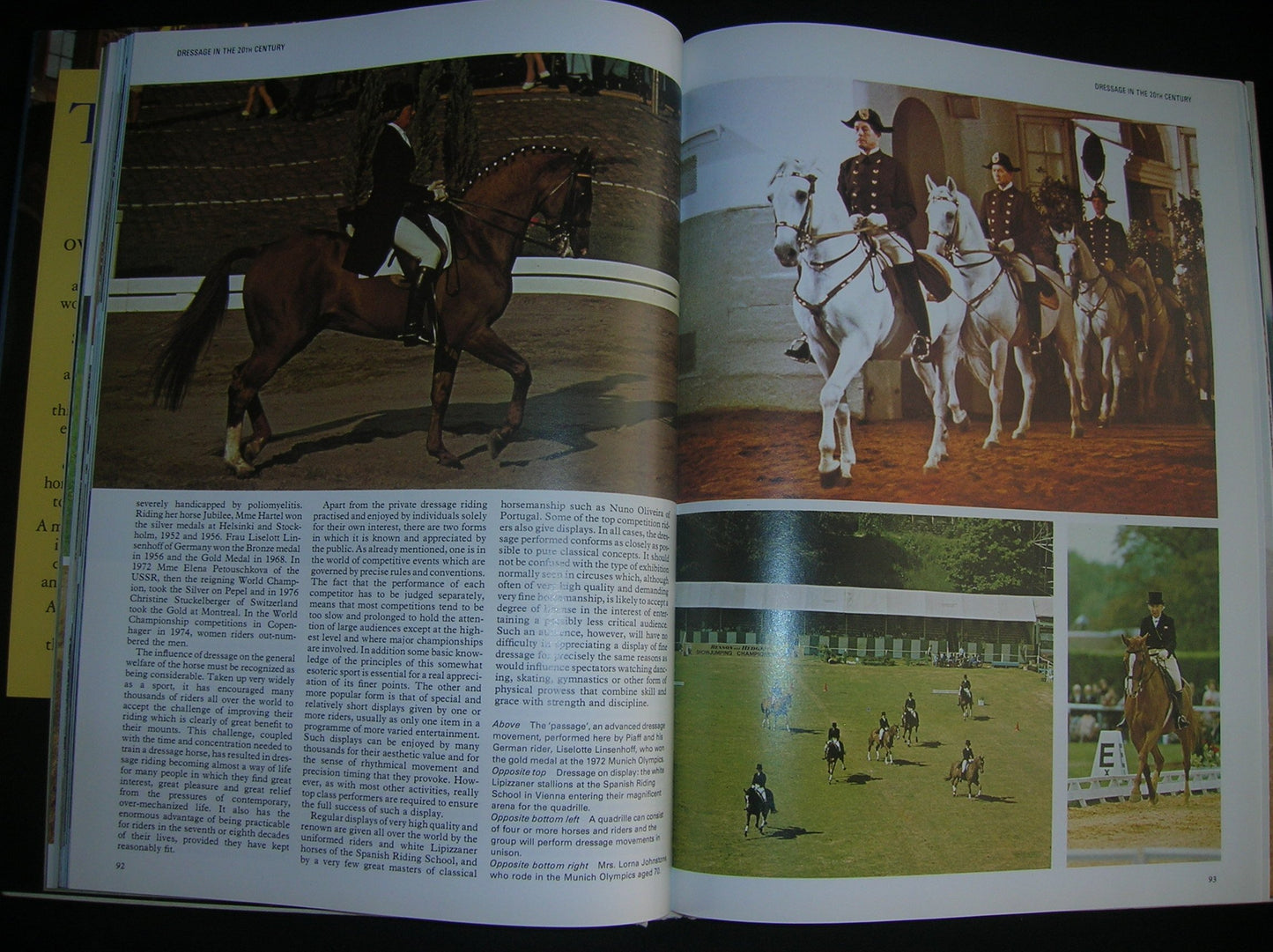 Encyclopedia of the Horse