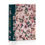Twilight: Deluxe Collector?s Edition (The Twilight Saga)