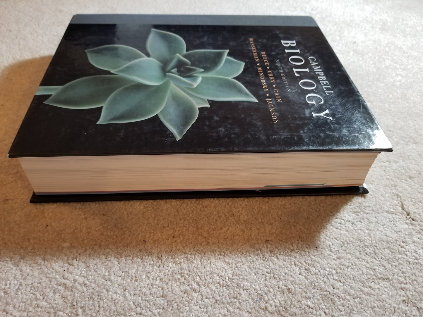 Campbell Biology (9th Edition) by Reece, Jane B.