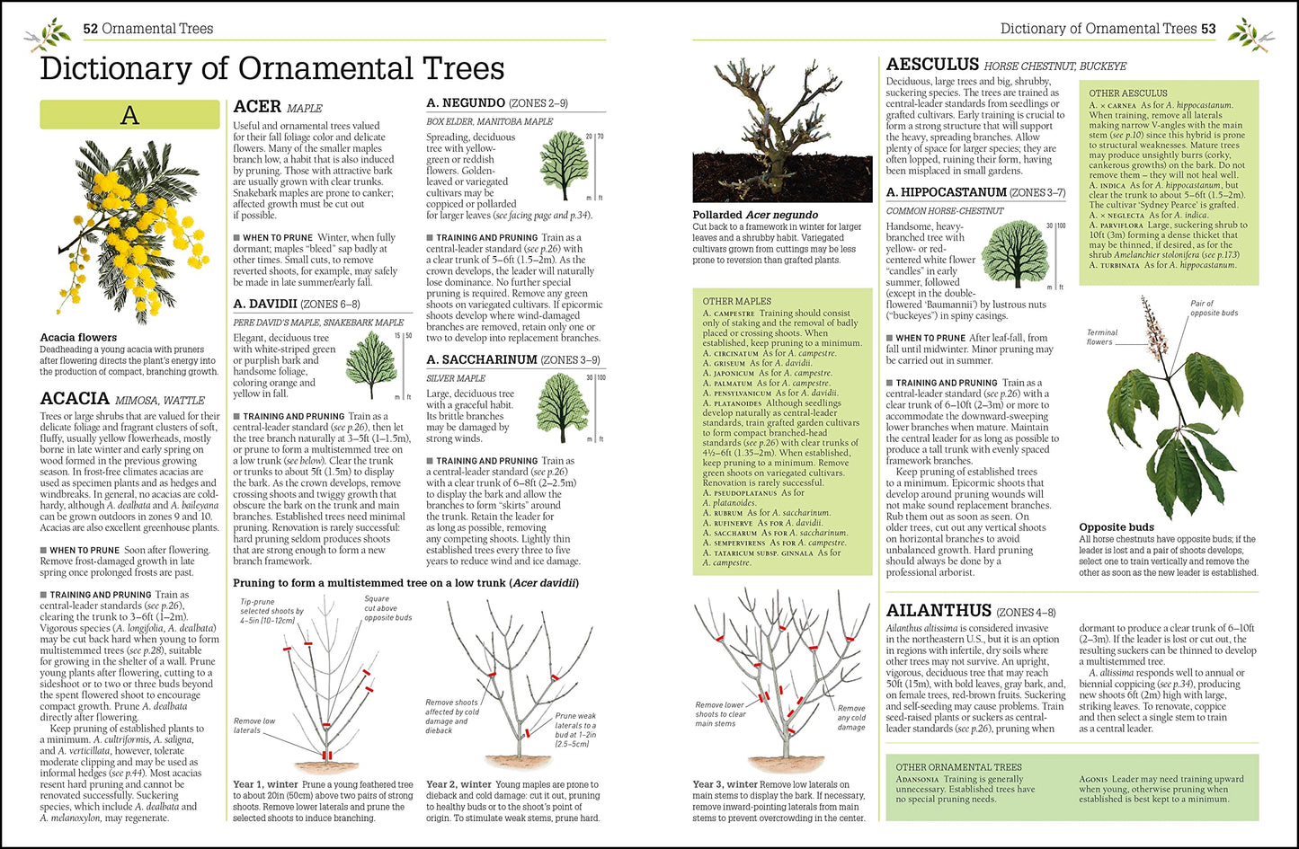 Pruning and Training, Revised New Edition: What, When, and How to Prune