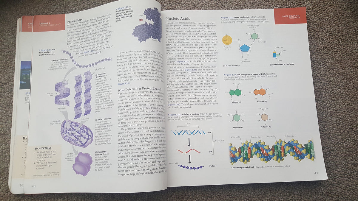 Campbell Essential Biology (5th Edition)