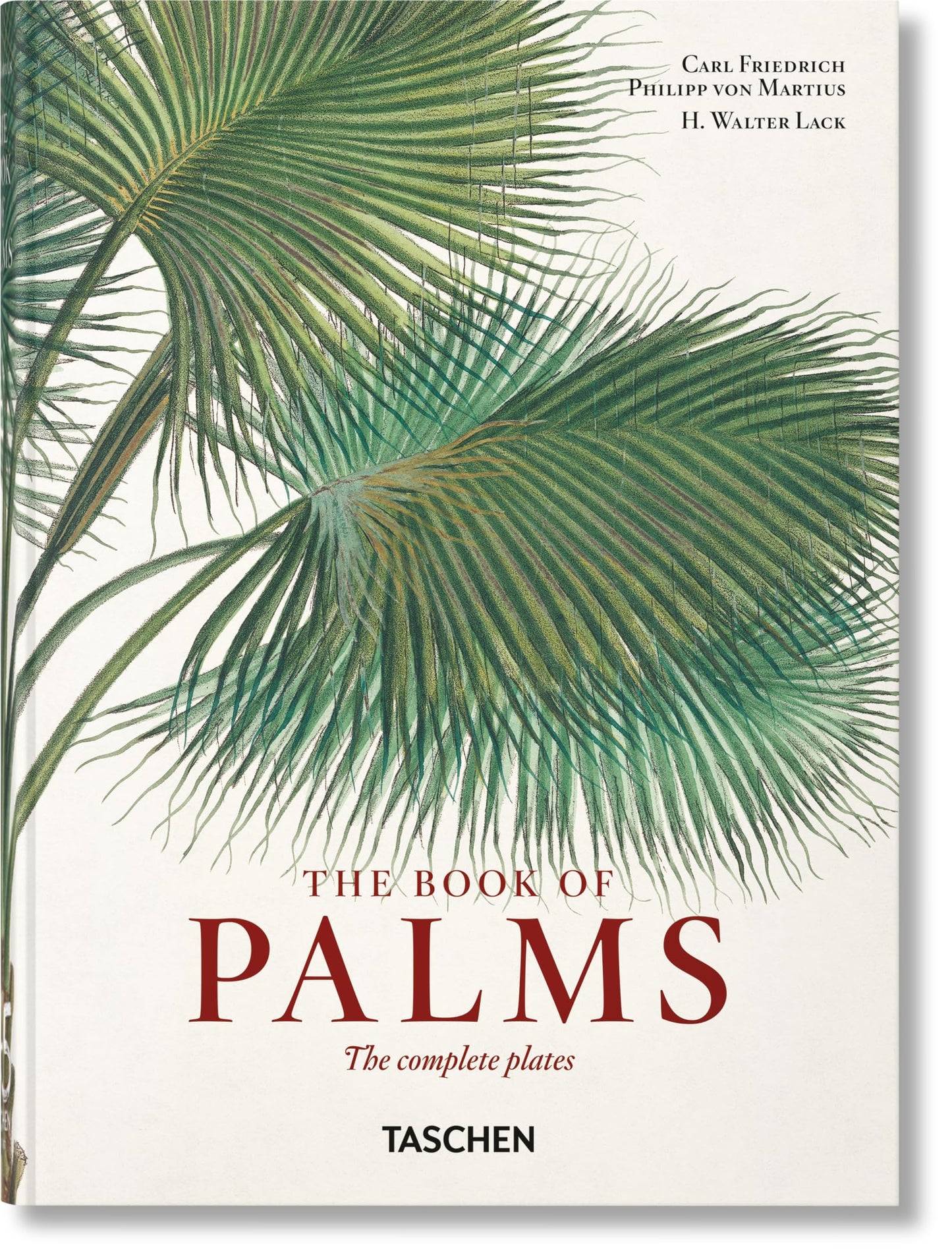 Martius: The Book of Palms. 45th Ed. (45th Edition) (Multilingual Edition)