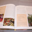 The Hot Garden: Landscape Design for the Desert Southwest