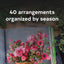 Color Me Floral: Stunning Monochromatic Arrangements for Every Season
