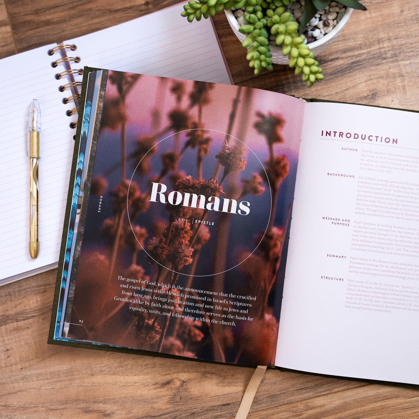 New Testament Handbook, Sage Cloth Over Board, Full-color Design, Commentary, Charts, Maps, Outlines, Timelines, Word Studies