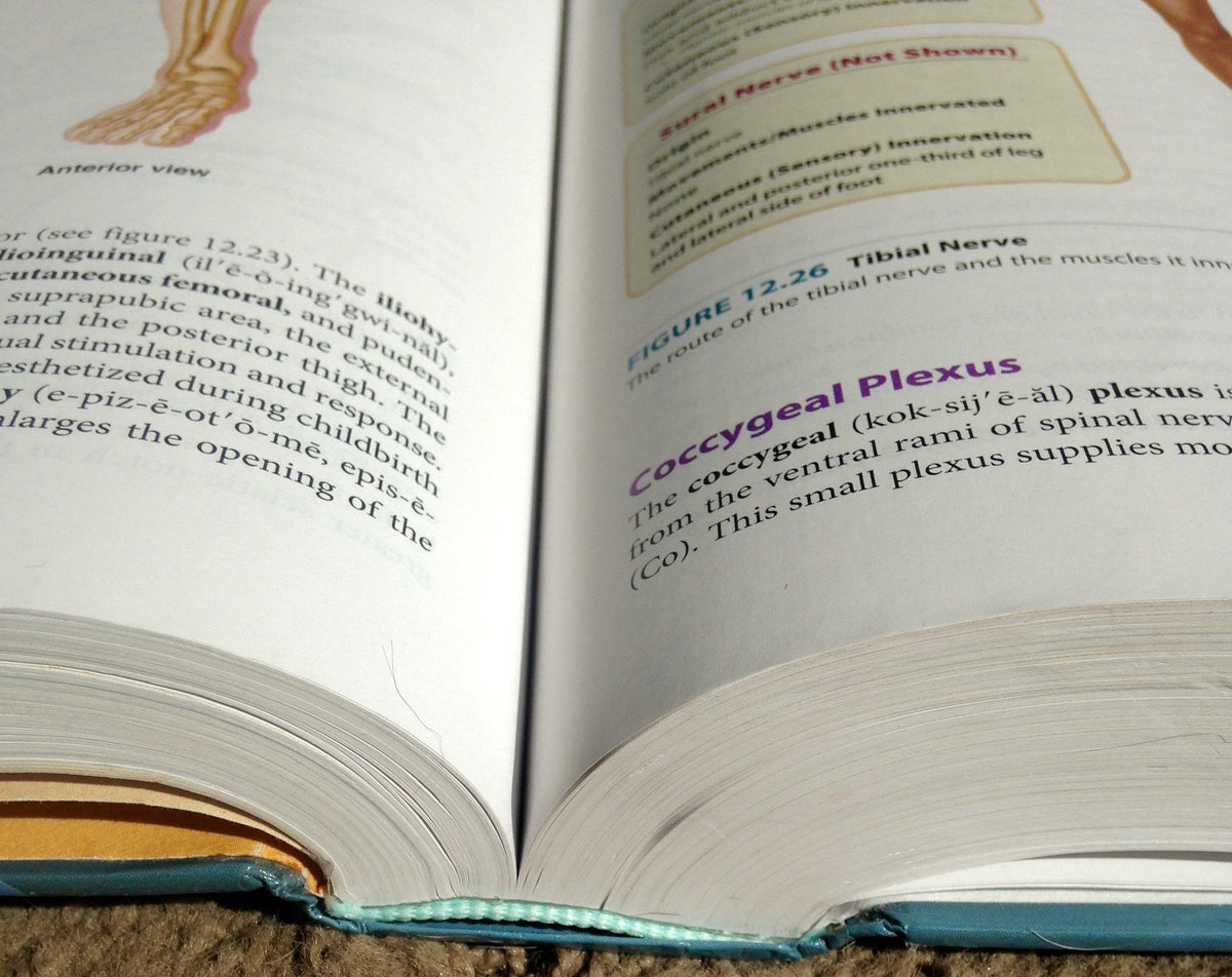 Seeley's Anatomy & Physiology