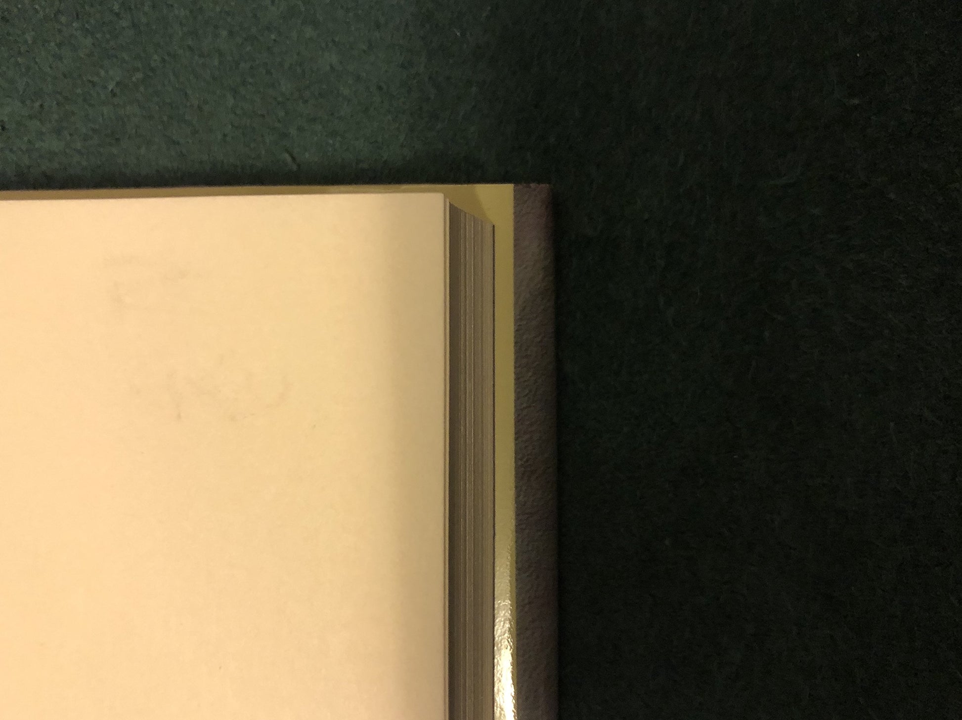 The Dhammapada: A New Translation of the Buddhist Classic with Annotations