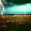 Land and Environmental Art