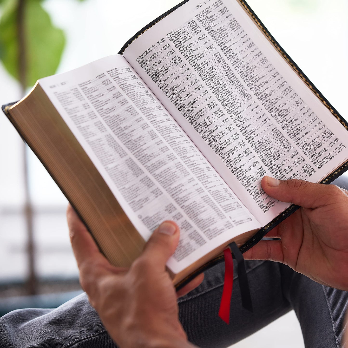 NKJV, End-of-Verse Reference Bible, Compact, Leathersoft, Brown, Red Letter, Comfort Print: Holy Bible, New King James Version