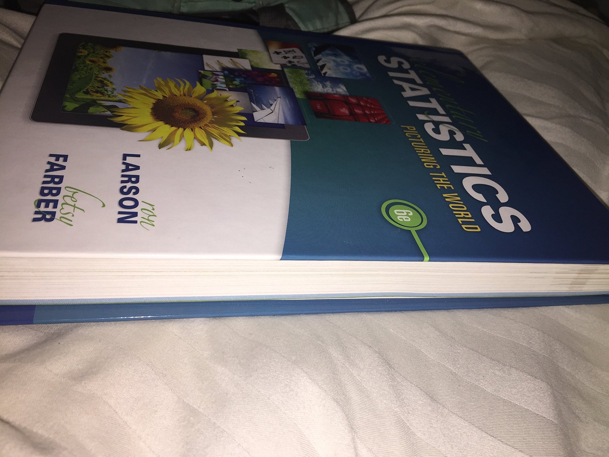 Elementary Statistics: Picturing the World