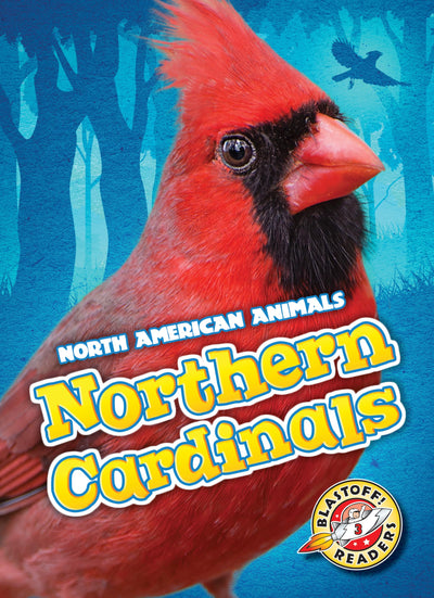 Northern Cardinals (North American Animals)
