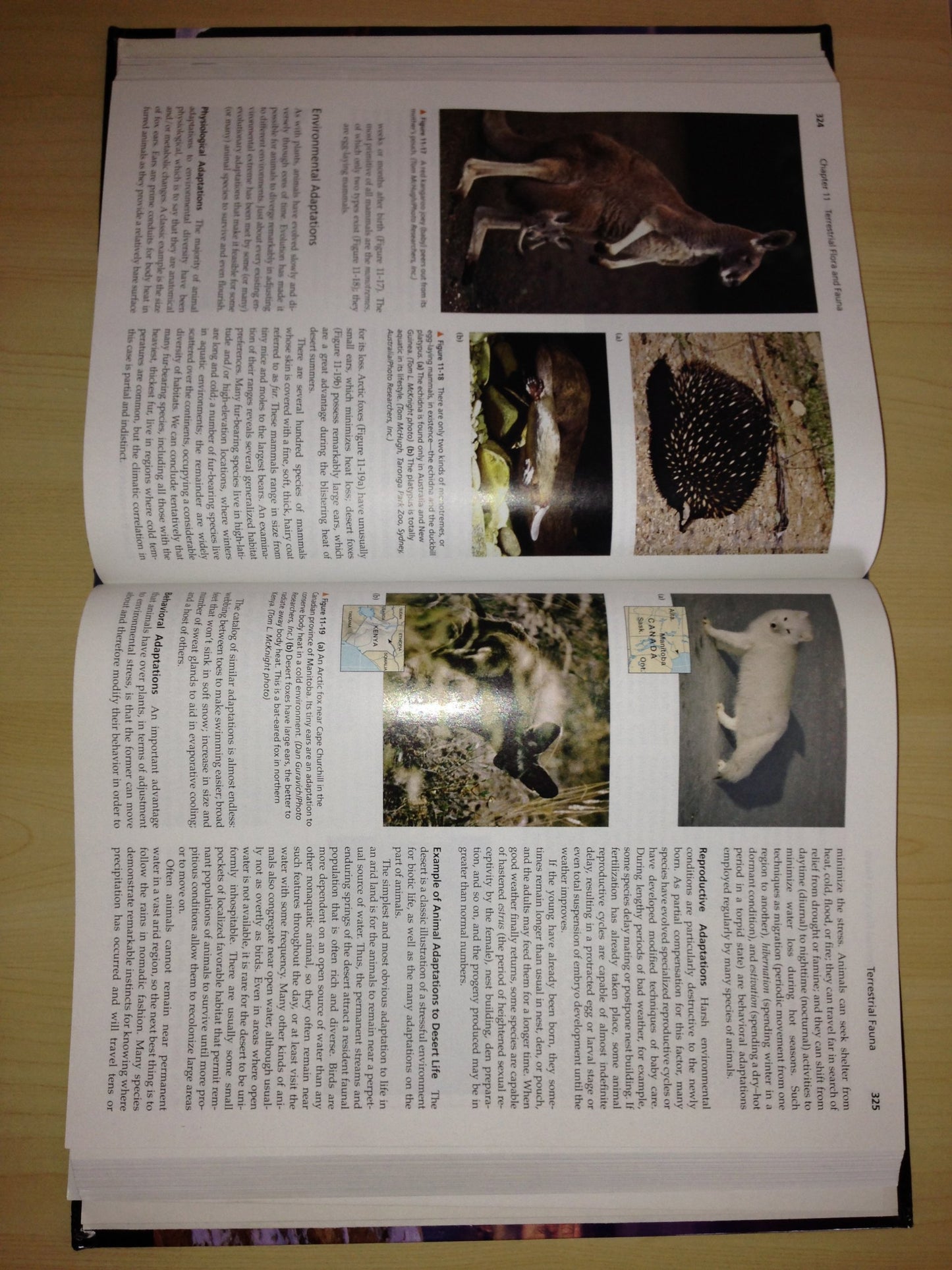 Physical Geography: A Landscape Appreciation