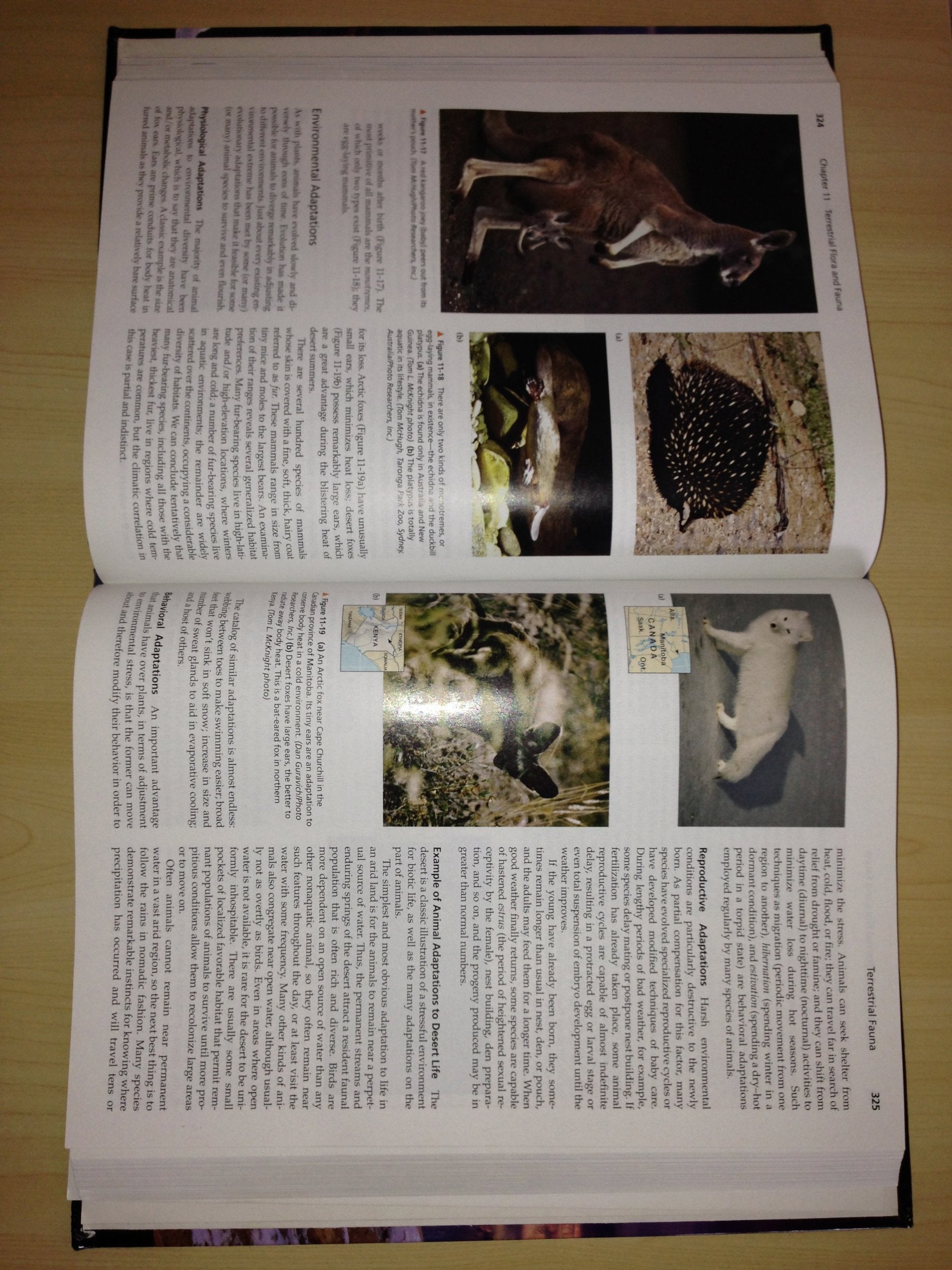 Physical Geography: A Landscape Appreciation