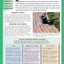 Patios: Designing, Building, Improving, and Maintaining Patios, Paths and Steps (Creative Homeowner) (Specialist Guide)