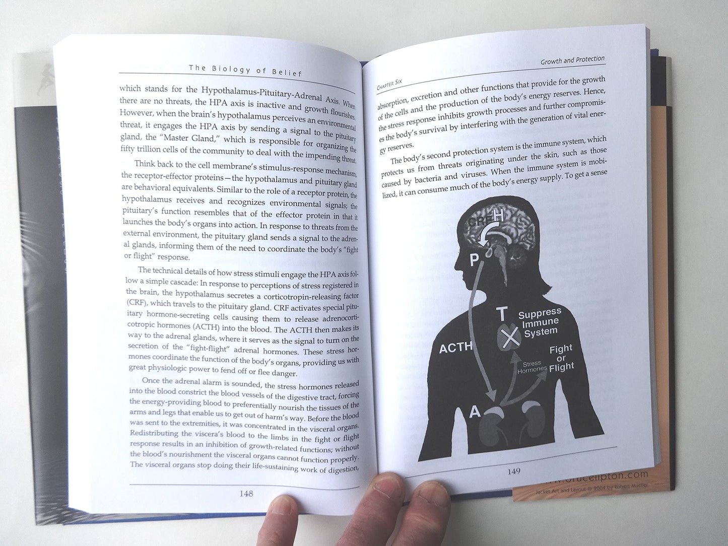 The Biology Of Belief: Unleashing The Power Of Consciousness, Matter And Miracles