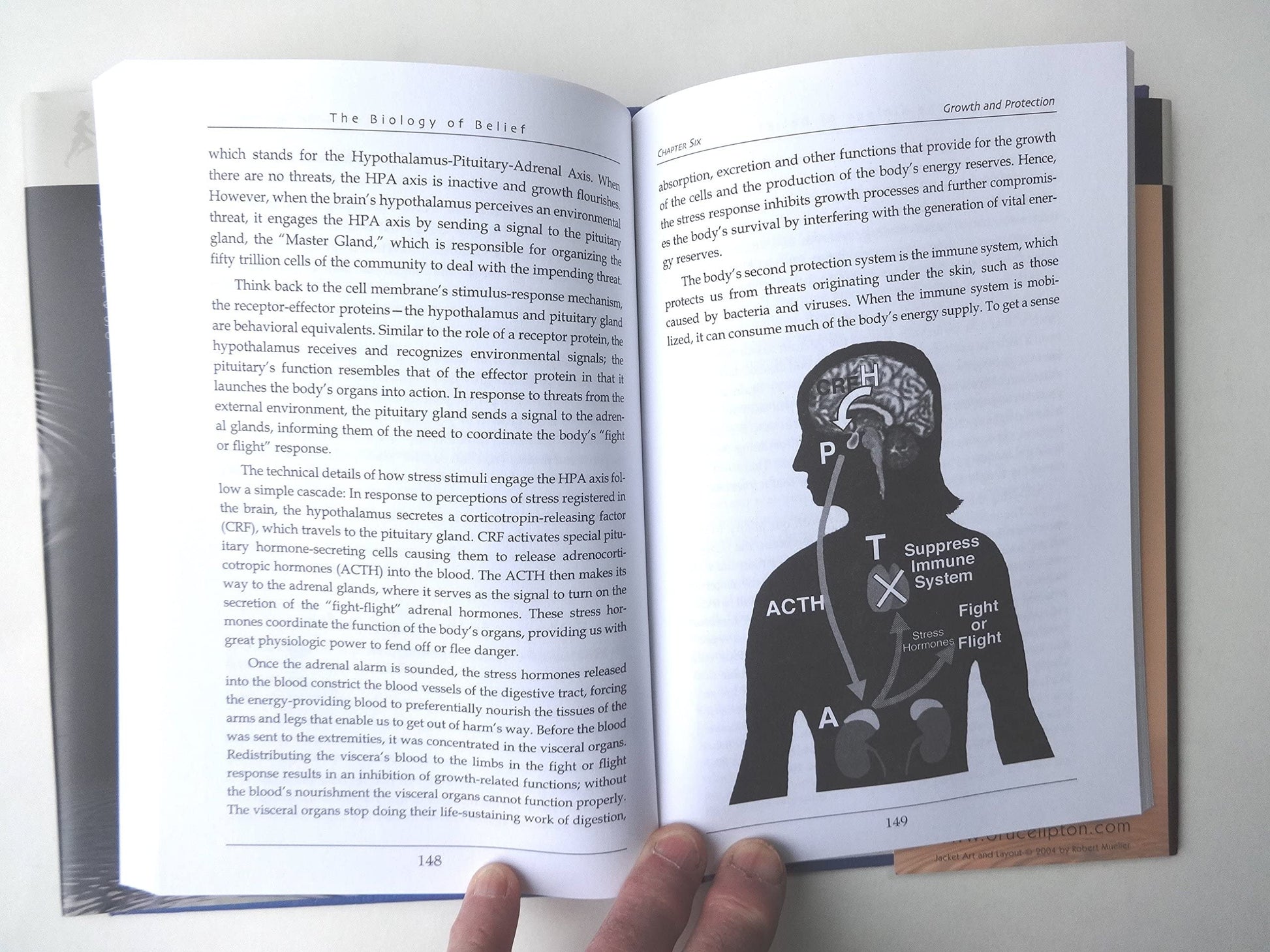 The Biology Of Belief: Unleashing The Power Of Consciousness, Matter And Miracles